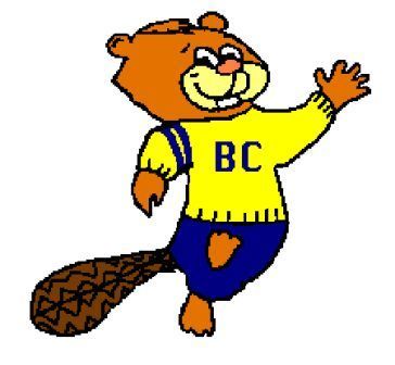 Official Twitter account of Beaver Creek Elementary School, located in the Downingtown Area School District. #BCRocks! #DASDpride