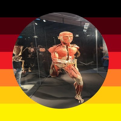real_KaBeh's profile picture. Der Untergang des Wohlstands in Deutschland hat begonnen. Gegen Links- und Woke-Mischpoke, gegen gendern und es gibt nur zwei Geschlechter!