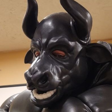 Just a shy, kinky shark who likes way too many things.
Just browsing through, I'm sure you'll get the idea.
Married to @ThunderDrkstone AKA @mxjak13