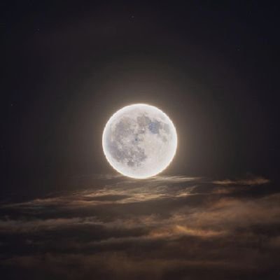 angelXiu762062's profile picture. 