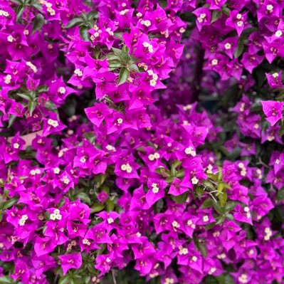 chunyu_hsu's profile picture. 