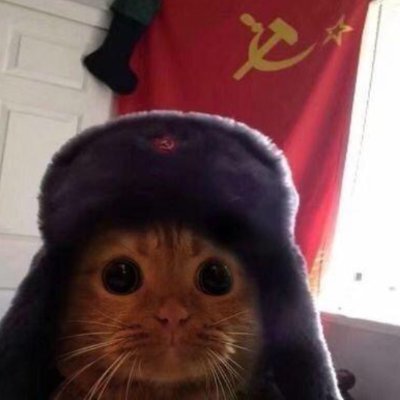 Kawaiiさんのプロフィール画像