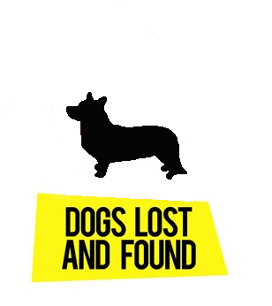 Dogs Lost And Found
