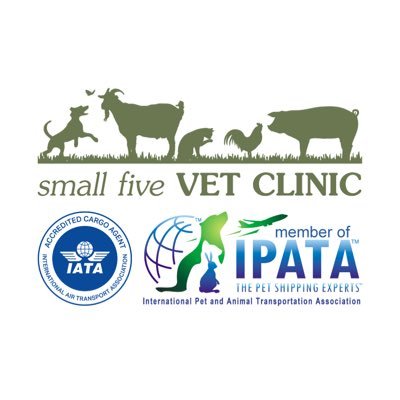 SMALLFIVEVET's profile picture. 0702624945 “Your all-in animal care!”