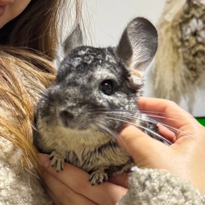 makinaさんのプロフィール画像
