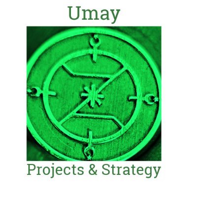 Umay Projects & Strategy LLC is a US-based global project management and business strategy consulting firm serving clients globally.
