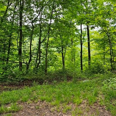 michael68391368's profile picture. 