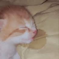 SkyPepperYo's profile picture. 