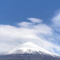 にくとさかな (@botonene2) 's Twitter Profile