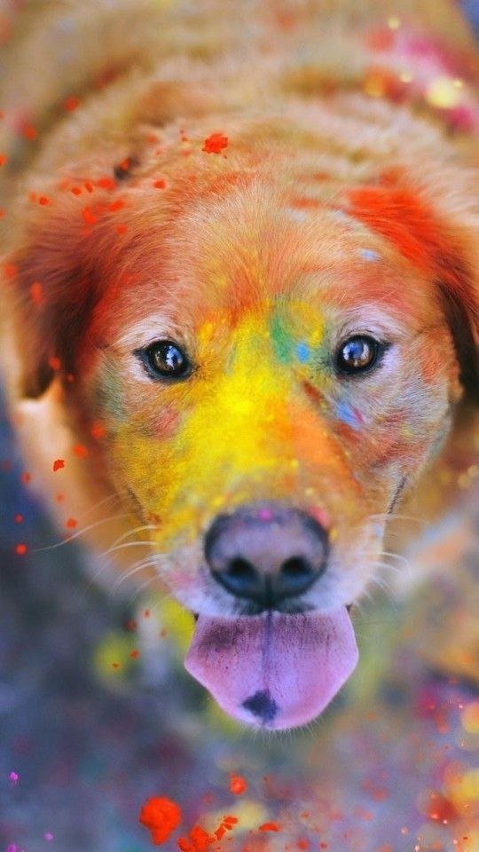 Art Lover ◻️ Paving the way for blockchain in governance
Published a guidebook on sustainable living for everyday families | Word magician