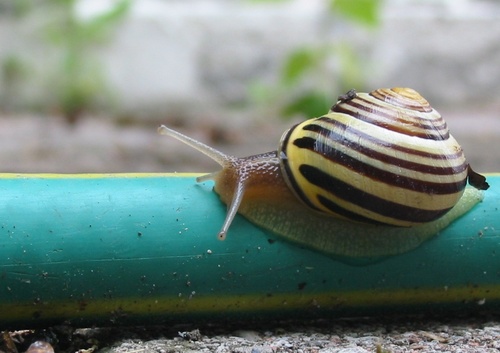 amf_to's profile picture. mostly listening and retweeting