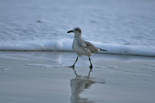 DebFoister's profile picture. Love to Craft, a creator of sorts! 
You should visit me @facebook.com/pages/Pardon-My-Creativity/2716274495712
& http://t.co/cw1M7LJlZx