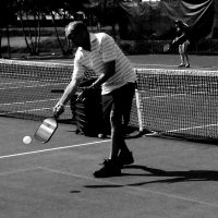 Richard Pickleball - Gobsmaked by the stupids (@richpickleball) 's Twitter Profile