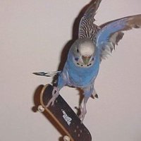 mazzls (@mazzls) 's Twitter Profile Photo mazzls (@mazzls) 's Twitter Profile Photo
