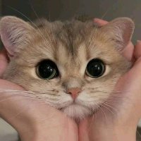 aaa (@jchaiphisit) 's Twitter Profile