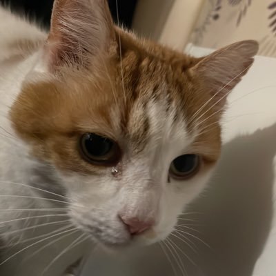 andrea_san50979's profile picture. 