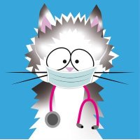 Laura Drénaline (@kcloradrenaline) 's Twitter Profile Photo