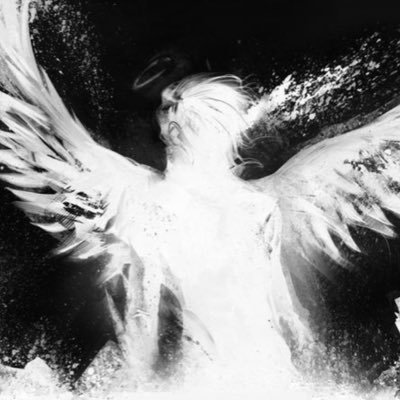 sinsociology's profile picture. 18 | she/her