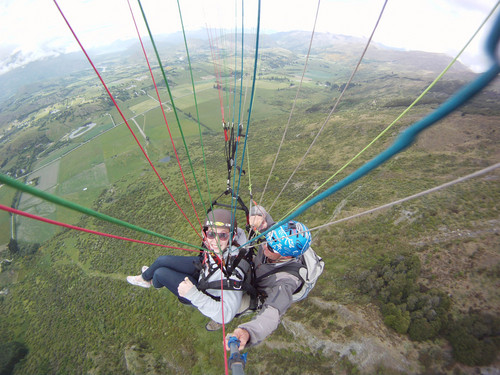 hallie_glassman's profile picture. 