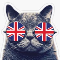 Écoles Bilingues 70🇬🇧 (@ecolesbilingues) 's Twitter Profile