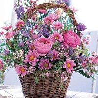 Olga (@olcorsaolga) 's Twitter Profile Photo