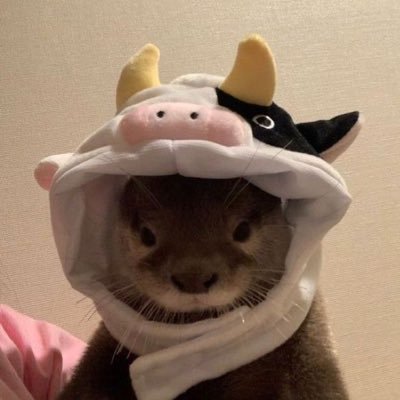 lexさんのプロフィール画像