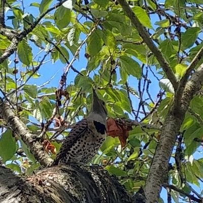 Rokivan1's profile picture. Canucks fan who cares about animal humanity, the environment and is annoyed by selfishness