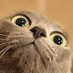 dead cat bounce (@xaralamposprod1) Twitter profile photo dead cat bounce (@xaralamposprod1) Twitter profile photo