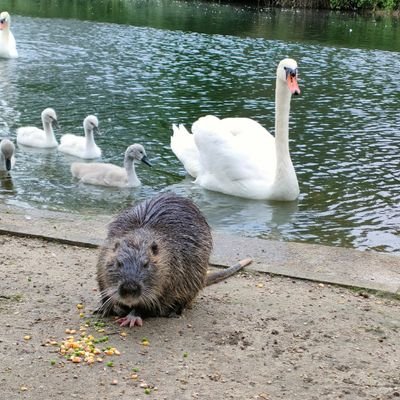 jbcoursault's profile picture. 🫠