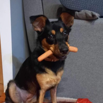 napierekk's profile picture. 