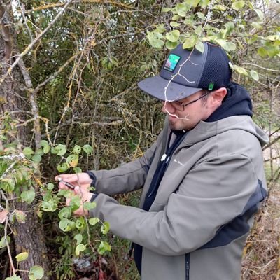 dils_jeroen's profile picture. toerist🦕  🇱🇺 🇧🇪 🇮🇪🇺🇿🇻🇦 🚴⚽🧭🗺️