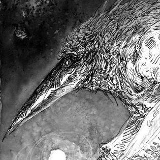 yuchan957689's profile picture. 