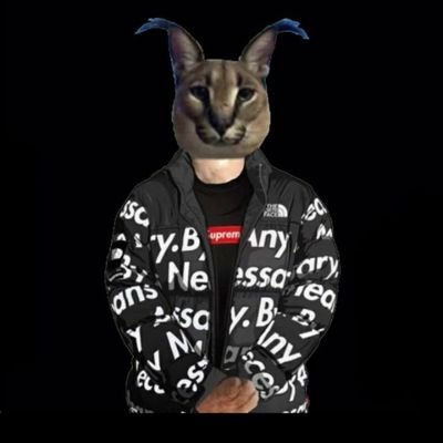 AbiadMostafa's profile picture. Italy, 26.
Arabic boi.
PinkFloydian.
Subscribe to my YT channel.
I   L O V E   V A P O R W A V E .
https://t.co/WjRKdeE60o