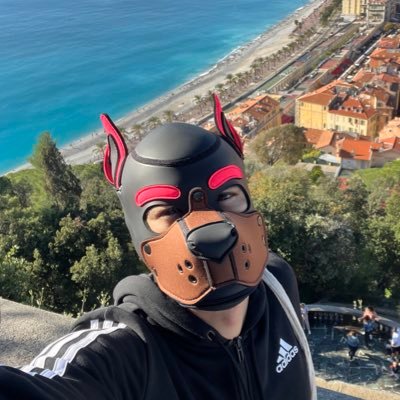 🐶 Anthropomorphic stray Pup 📍Alpes-Maritimes, France 🏔️🌊Playful 🩷🤎 🐾 Barks in 🇫🇷🇬🇧🇪🇸