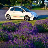Sole🇮🇹595🦂SL320 (@sole_abarth) 's Twitter Profile