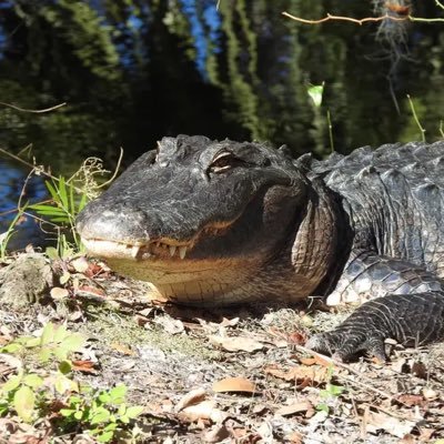 marb_mot's profile picture. 