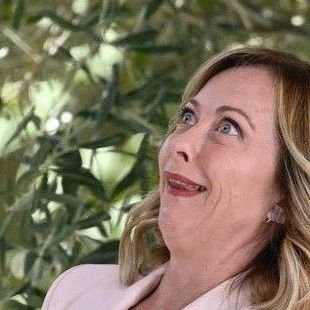 swedishhackball's profile picture. .