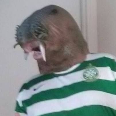 MixxyMichel's profile picture. Gascon, PSG/Celtic FC, Polyglot, leftist non woke, don't belong to a party, God loving, ♿, F1 GR 63 🇨🇵🇩🇿🇵🇸🇦🇲🇧🇷🏴󠁧󠁢󠁳󠁣󠁴󠁿🇮🇪 deezer : 3333