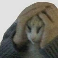 Im just tired (@babilonslavdy) 's Twitter Profile