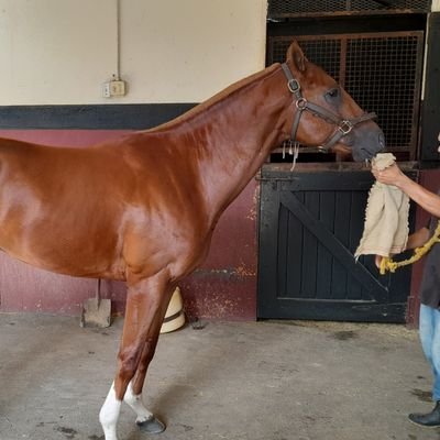 josedanielindr4's profile picture. 