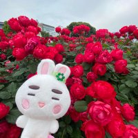 onewmaru1214 (@onewmaru1214) Twitter profile photo