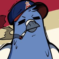 Dashboard: Just Follow My Bluesky (@notdashboard) 's Twitter Profile