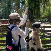 Phoebe Maltz Bovy (@bovymaltz) 's Twitter Profile