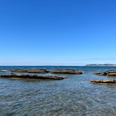 shushng125312's profile picture. 