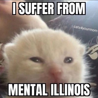 FerretBabi's profile picture. |she/her| Jojo gives me life & purpose |