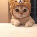 小鱼yawyaw (@yawyaw_crypto) Twitter profile photo 小鱼yawyaw (@yawyaw_crypto) Twitter profile photo