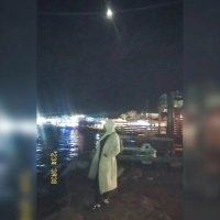 𝓷𝓪𝓰𝓵𝓪𝓪🐥 (@naglaa338) 's Twitter Profile