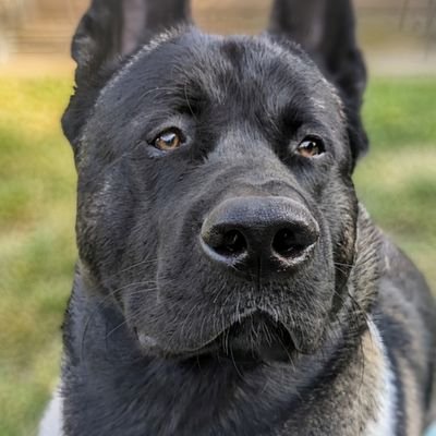 Rolbiecki2023's profile picture. 