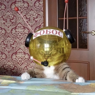 liu04080's profile picture. 