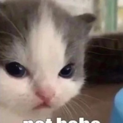 adrianronaldy's profile picture. let’s codee